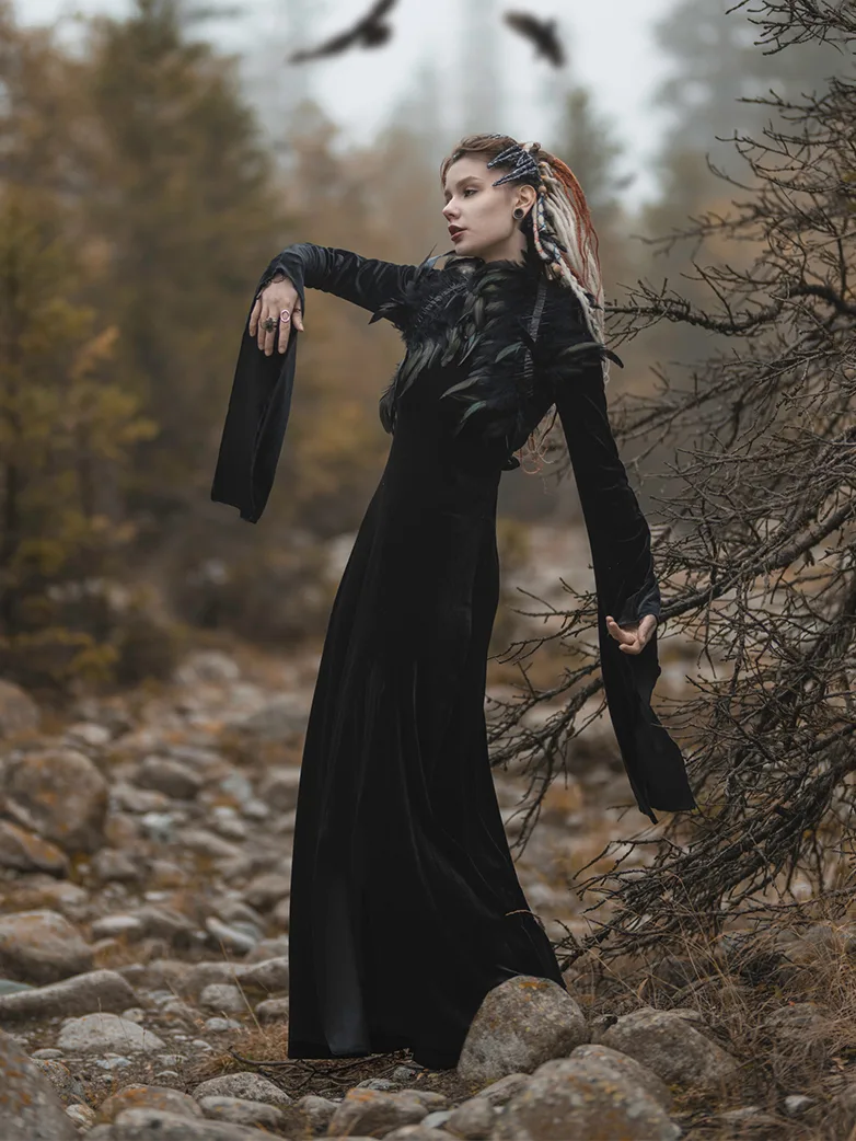 Victorian Gothic Stand Collar Lace Velvet Slit Dress - Image 9